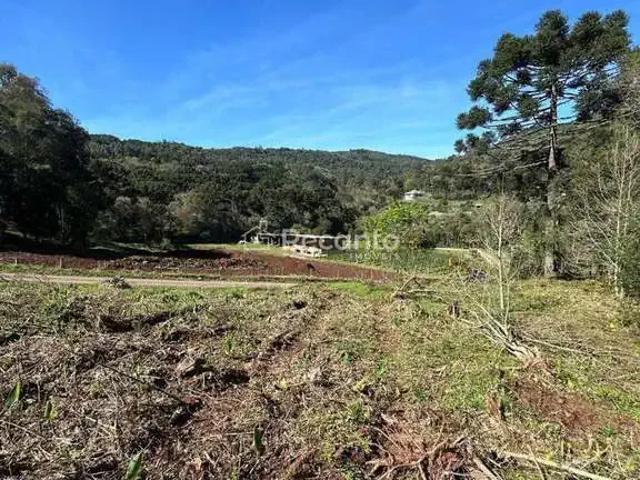 Fazenda venda em Gramado
