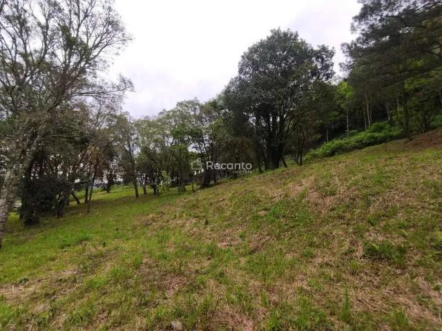 Fazenda venda em Região Geográfica Imediata de Caxias do Sul, Gramado