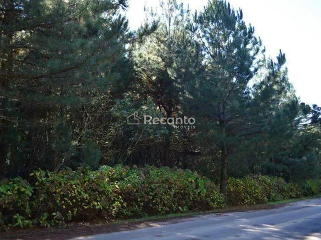 Fazenda venda em Região Geográfica Imediata de Caxias do Sul, Gramado