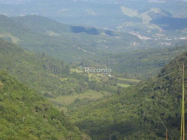 Fazenda venda em Região Geográfica Imediata de Caxias do Sul, Gramado
