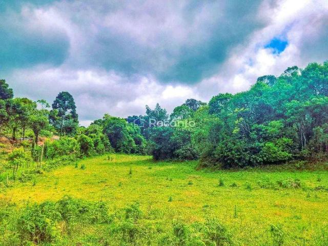 Fazenda venda em Região Geográfica Imediata de Caxias do Sul, Gramado