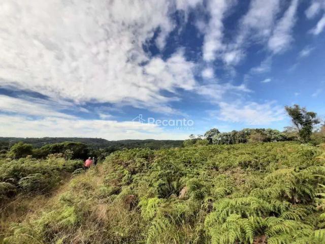 Fazenda venda em Região Geográfica Imediata de Caxias do Sul, Gramado