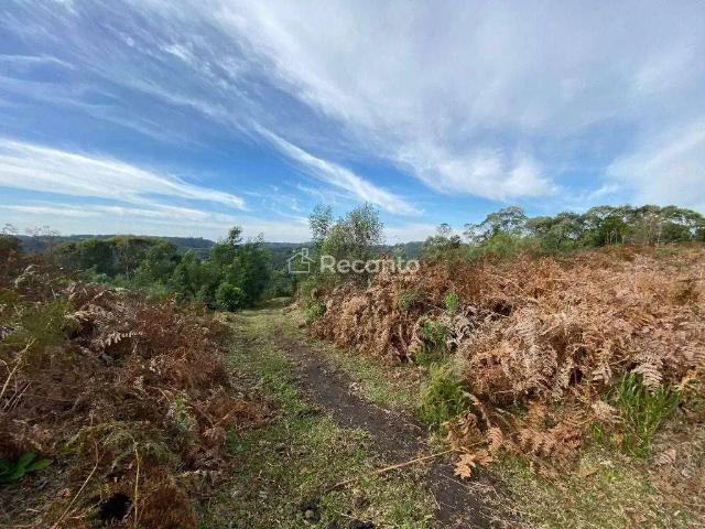Fazenda venda em Região Geográfica Imediata de Caxias do Sul, Gramado