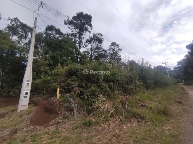 Fazenda venda em Gramado