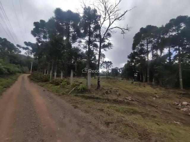 Fazenda venda em Região Geográfica Imediata de Caxias do Sul, Gramado
