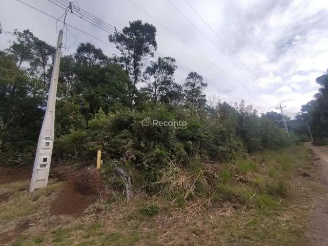 Fazenda venda em Região Geográfica Imediata de Caxias do Sul, Gramado