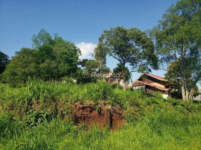 Fazenda venda em Região Geográfica Imediata de Caxias do Sul, Gramado