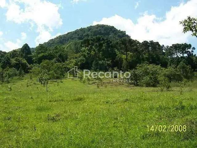 Fazenda venda em Região Geográfica Imediata de Taquara - Parobé - Igrejinha, Três Coroas