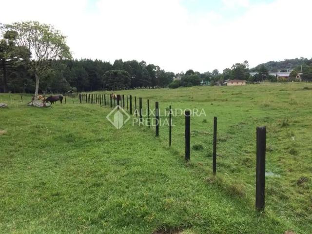 Fazenda venda em Região Geográfica Imediata de Caxias do Sul, Gramado