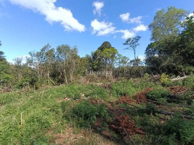 Fazenda venda em Região Geográfica Imediata de Taquara - Parobé - Igrejinha, Três Coroas