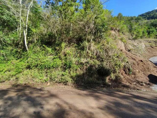 Fazenda venda em Região Geográfica Imediata de Caxias do Sul, Gramado
