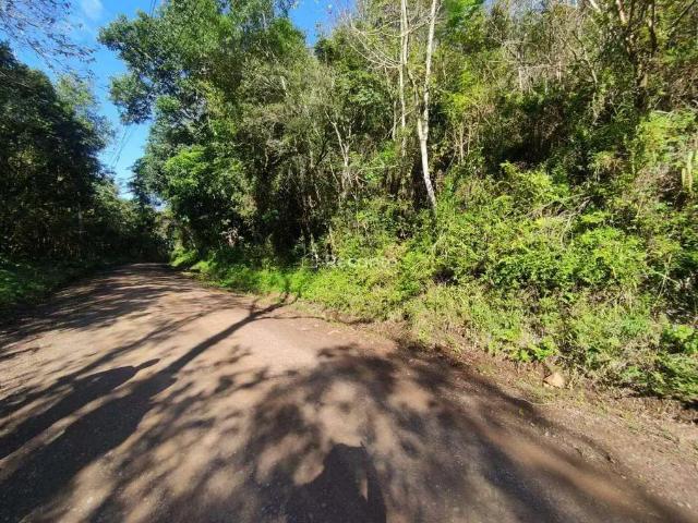 Fazenda venda em Região Geográfica Imediata de Taquara - Parobé - Igrejinha, Três Coroas