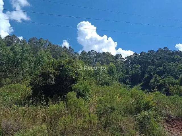 Fazenda venda em Região Geográfica Imediata de Caxias do Sul, Gramado
