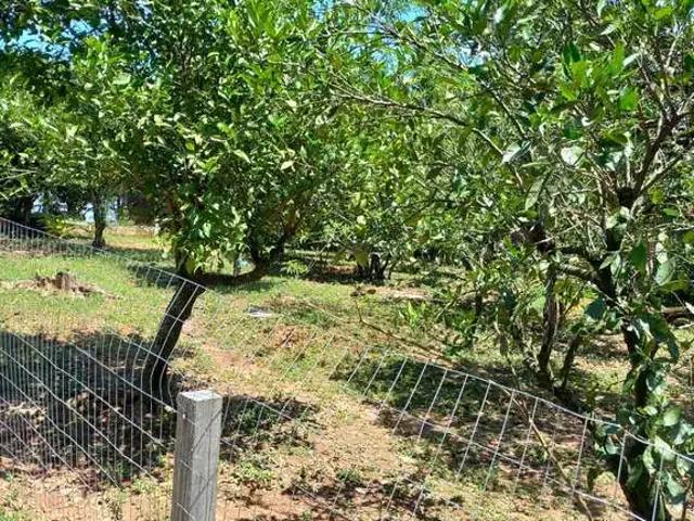 Fazenda venda em Região Geográfica Imediata de Porto Alegre, Região Metropolitana de Porto Alegre