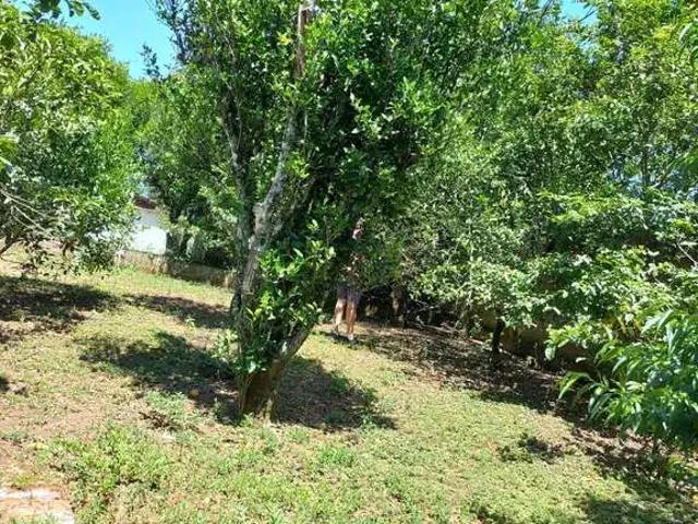 Fazenda venda em Região Geográfica Imediata de Porto Alegre, Região Metropolitana de Porto Alegre