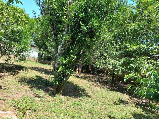Fazenda venda em Refúgio da Coxilha, Gravataí