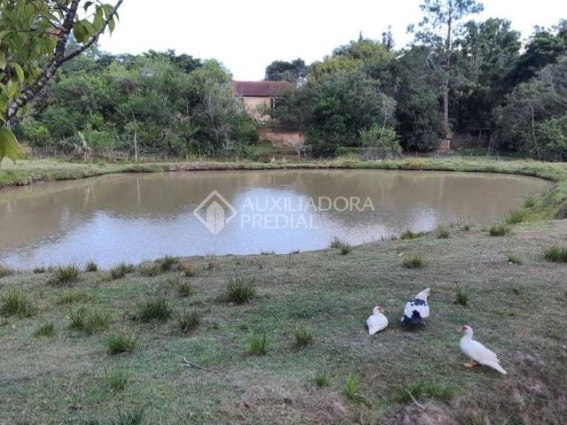 Fazenda venda em Região Geográfica Imediata de Porto Alegre, Região Metropolitana de Porto Alegre