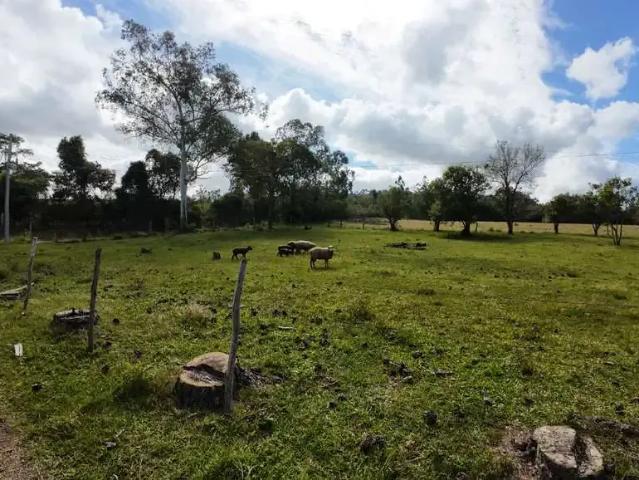 Fazenda venda em Região Geográfica Imediata de Porto Alegre, Região Metropolitana de Porto Alegre