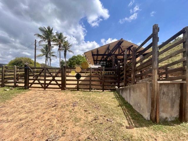 Fazenda venda em Gravatá