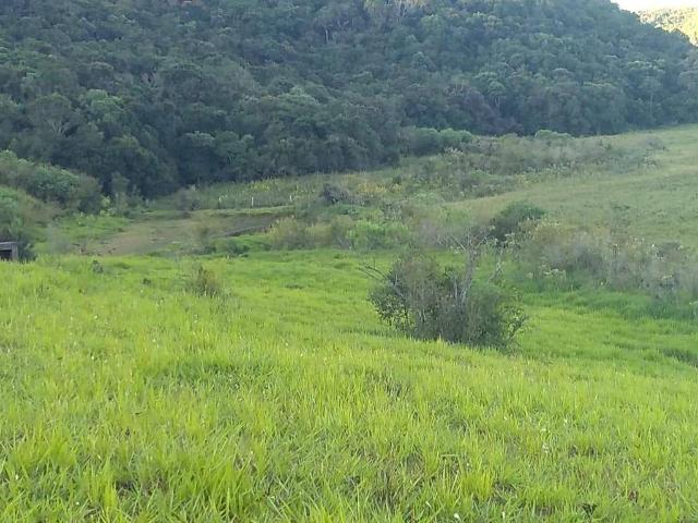 Fazenda venda em Bairro da Ramada, Guaíba