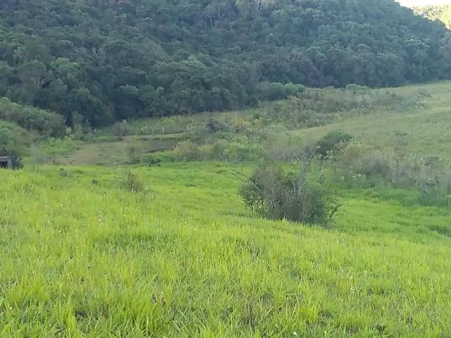 Fazenda venda em Região Geográfica Imediata de Porto Alegre, Região Metropolitana de Porto Alegre