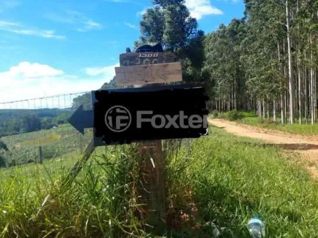 Fazenda venda em Região Geográfica Imediata de Porto Alegre, Região Metropolitana de Porto Alegre