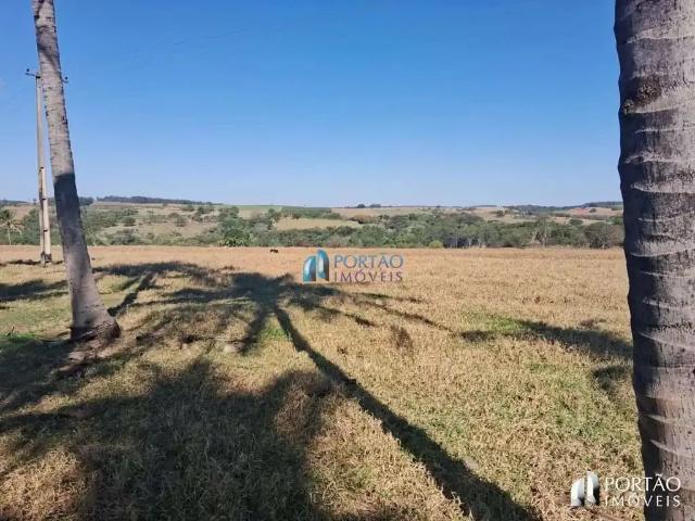 Fazenda venda em Região Imediata de Marília, Guaimbê