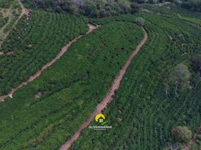 Sítio e chácara venda em Região Geográfica Imediata de Guanhães, Guanhães