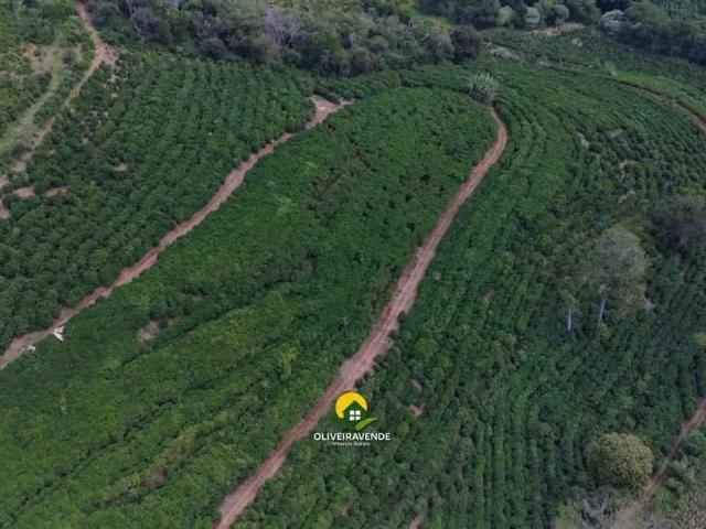 Fazenda venda em Região Geográfica Imediata de Guanhães, Guanhães