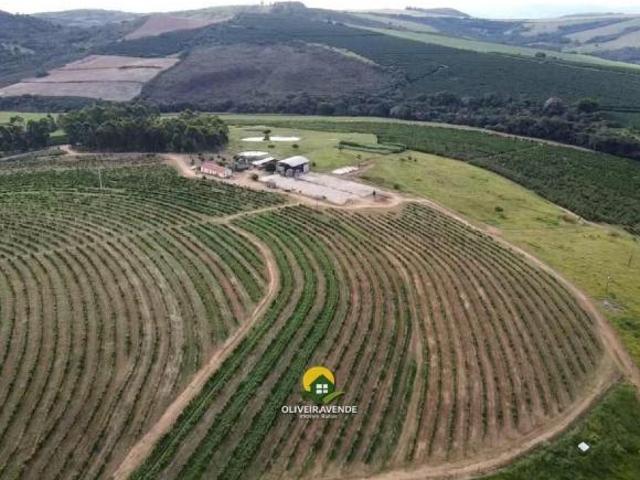 Sítio e chácara venda em Região Geográfica Imediata de Passos, Guapé