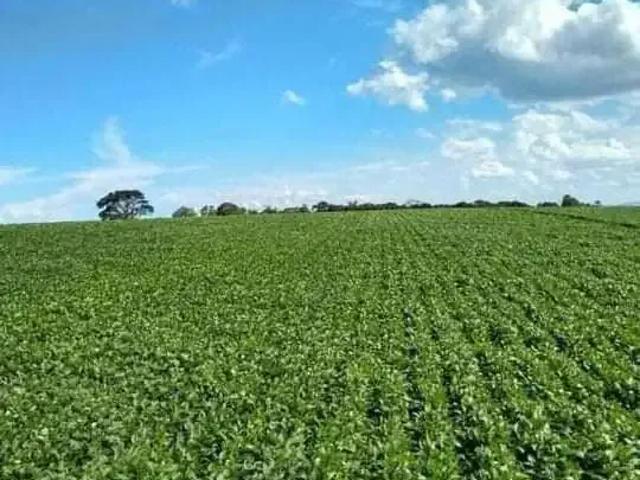 Fazenda venda em Região Geográfica Imediata de Uberlândia, Araguari