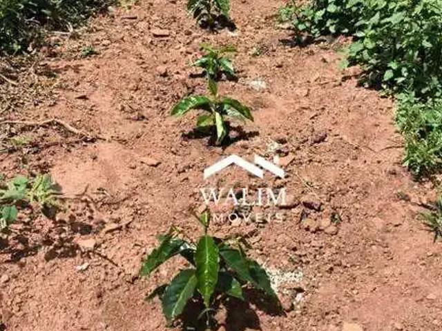 Fazenda venda em Região Geográfica Imediata de Passos, Guapé