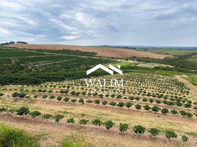 Fazenda venda em Região Geográfica Imediata de Passos, Guapé