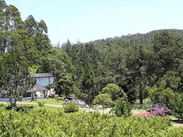 Sítio e chácara venda em Região Imediata de Itapeva, Guapiara