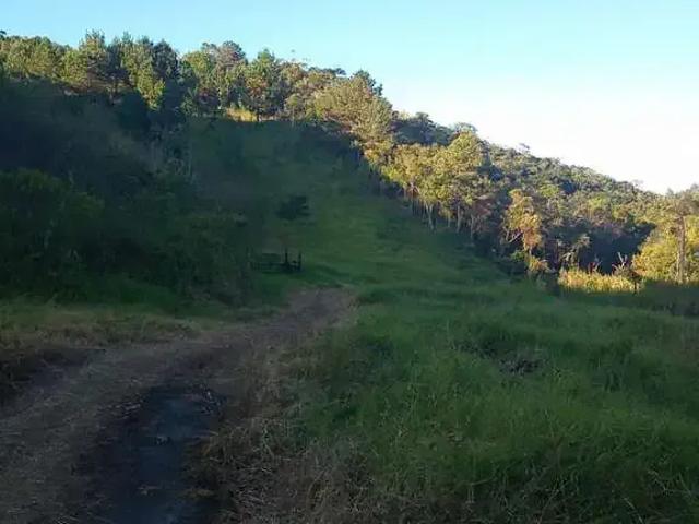 Fazenda venda em Região Imediata de Itapeva, Guapiara
