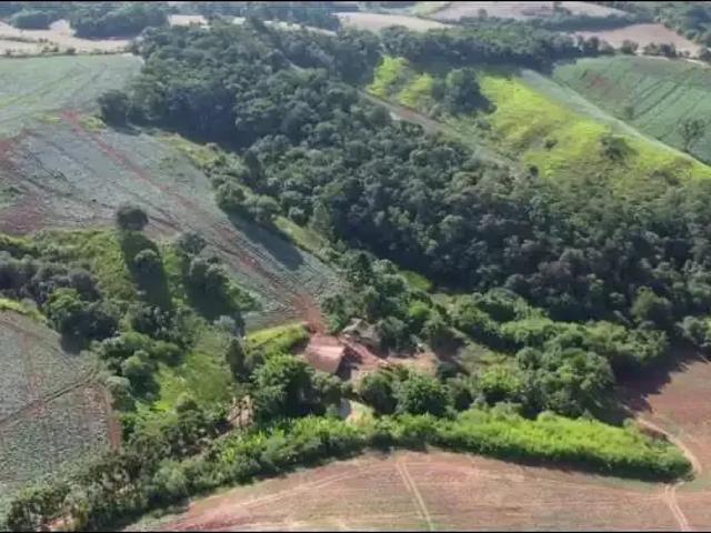 Fazenda venda em Região Imediata de Itapeva, Guapiara
