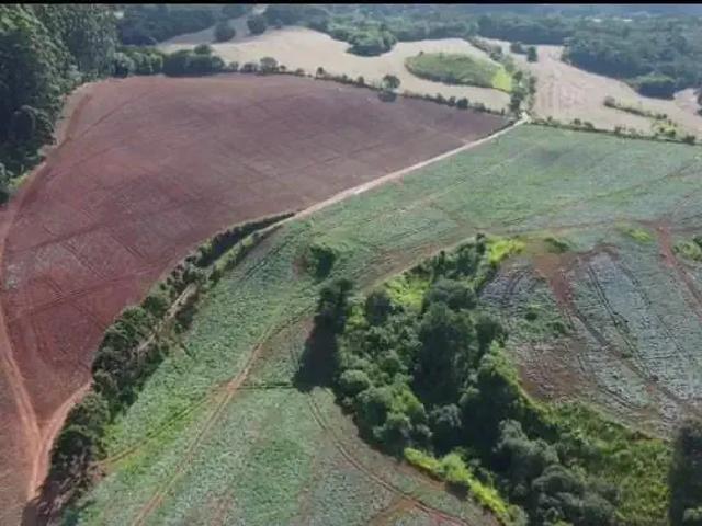 Fazenda venda em Região Imediata de Itapeva, Guapiara