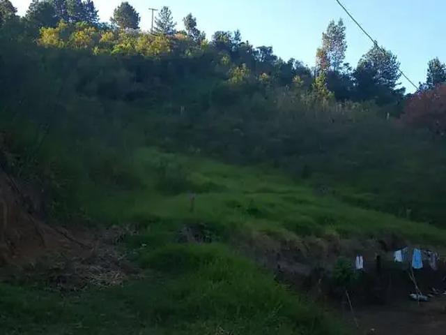 Fazenda venda em Região Imediata de Itapeva, Guapiara