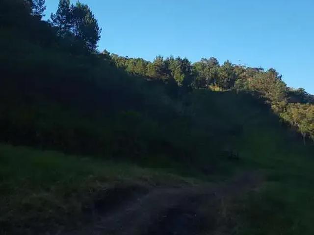 Fazenda venda em Região Imediata de Itapeva, Guapiara