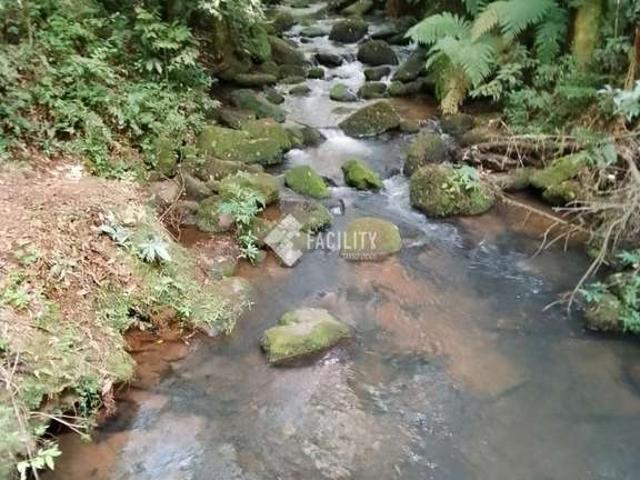 Fazenda venda em Região Imediata de Itapeva, Guapiara