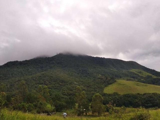Fazenda venda em Região Imediata de Itapeva, Guapiara