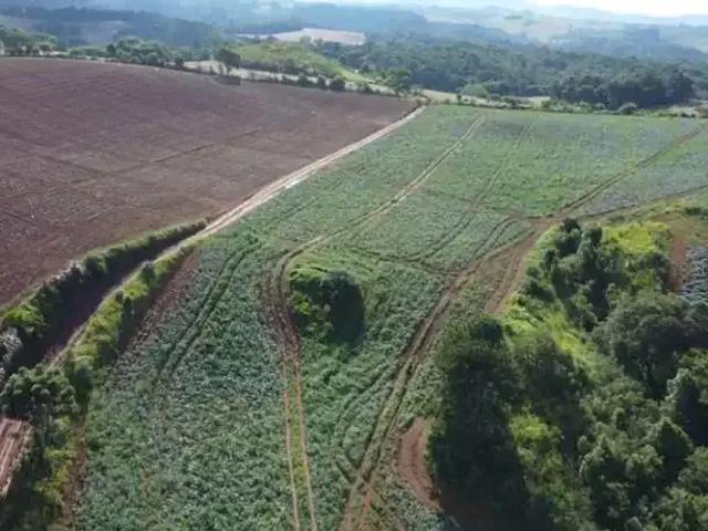 Fazenda venda em Região Imediata de Itapeva, Guapiara
