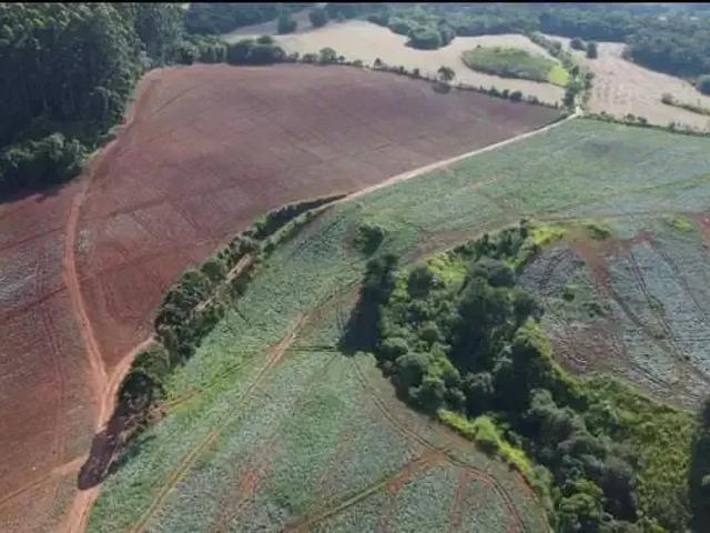 Fazenda venda em Região Imediata de Itapeva, Guapiara