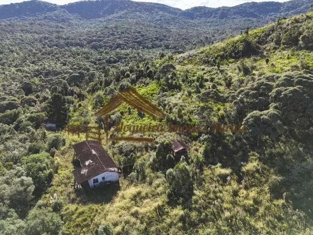 Fazenda venda em Região Imediata de Itapeva, Guapiara