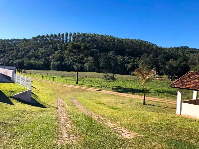 Fazenda venda em Região Imediata de Itapeva, Guapiara