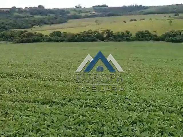 Fazenda venda em Região Geográfica Imediata de Santo Antônio da Platina, Guapirama