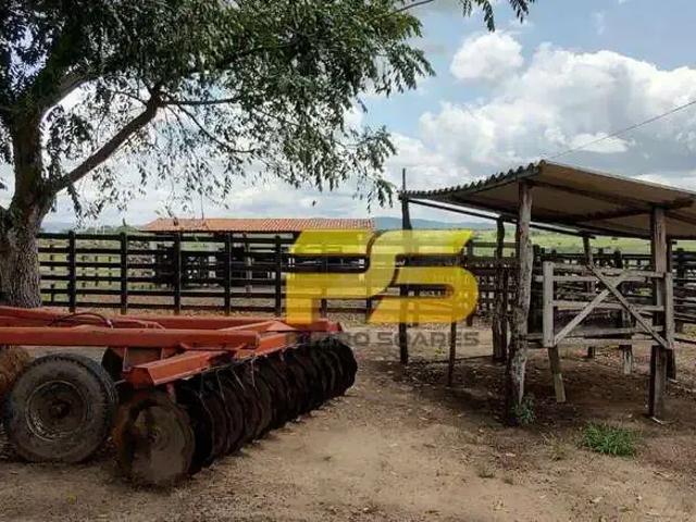 Fazenda venda em Região Geográfica Imediata de Guarabira, Guarabira