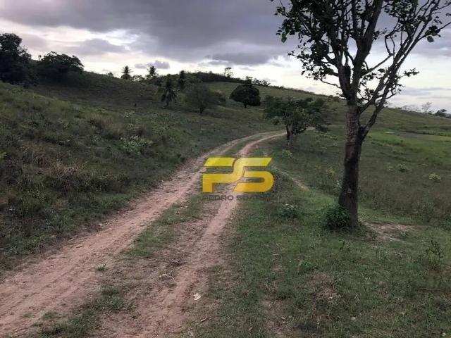 Fazenda venda em Região Geográfica Imediata de Guarabira, Guarabira