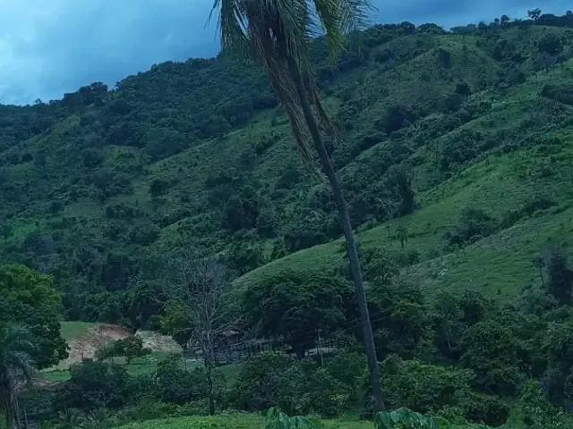 Fazenda venda em Região Geográfica Imediata de Goiás - Itapuranga, Guaraíta