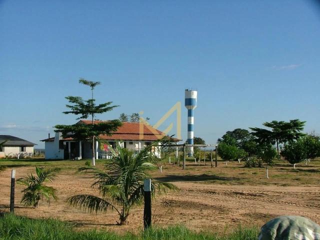 Fazenda venda em Guaraí, Região Geográfica Intermediária de Araguaína